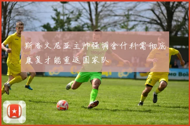 斯洛文尼亚主帅强调舍什科需彻底康复才能重返国家队
